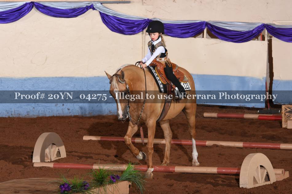 Proof 20YN_04275