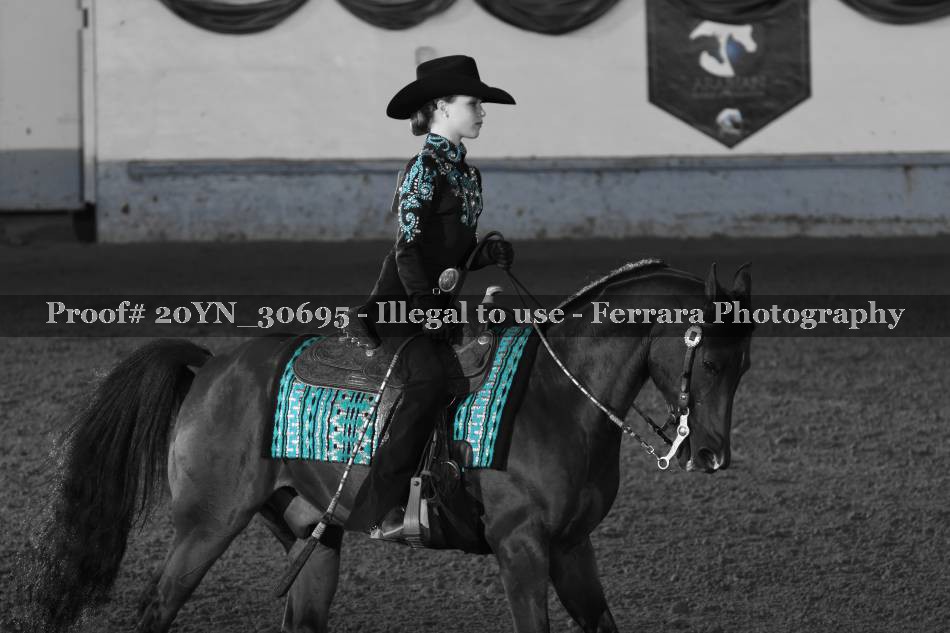 Proof 20YN_30695