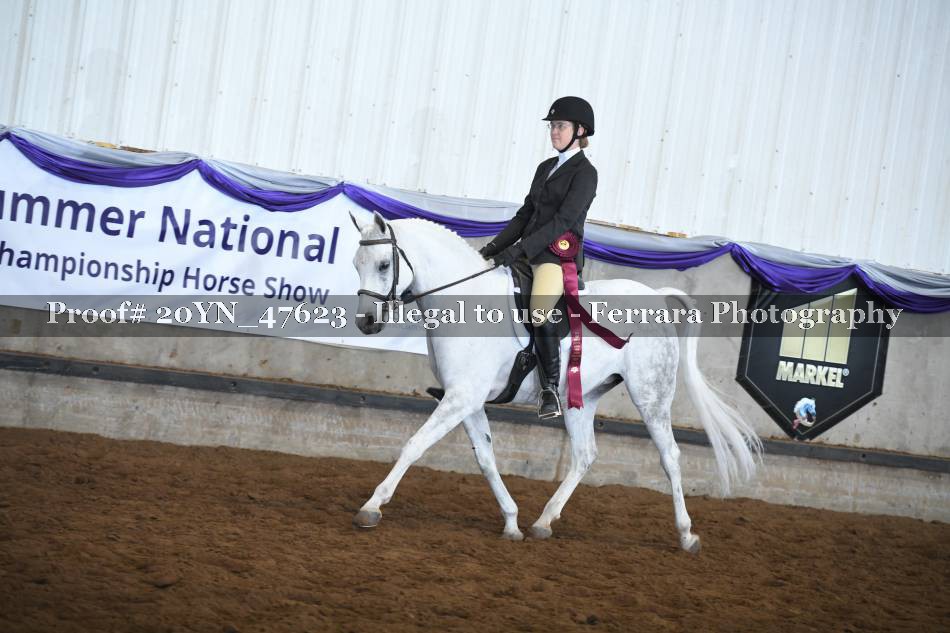 Proof 20YN_47623