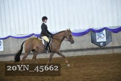 20YN_45662 proof