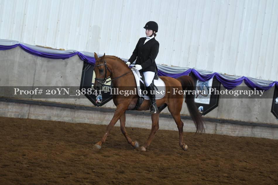 Proof 20YN_38841
