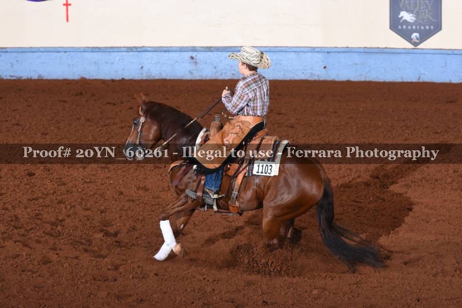 Proof 20YN_60261