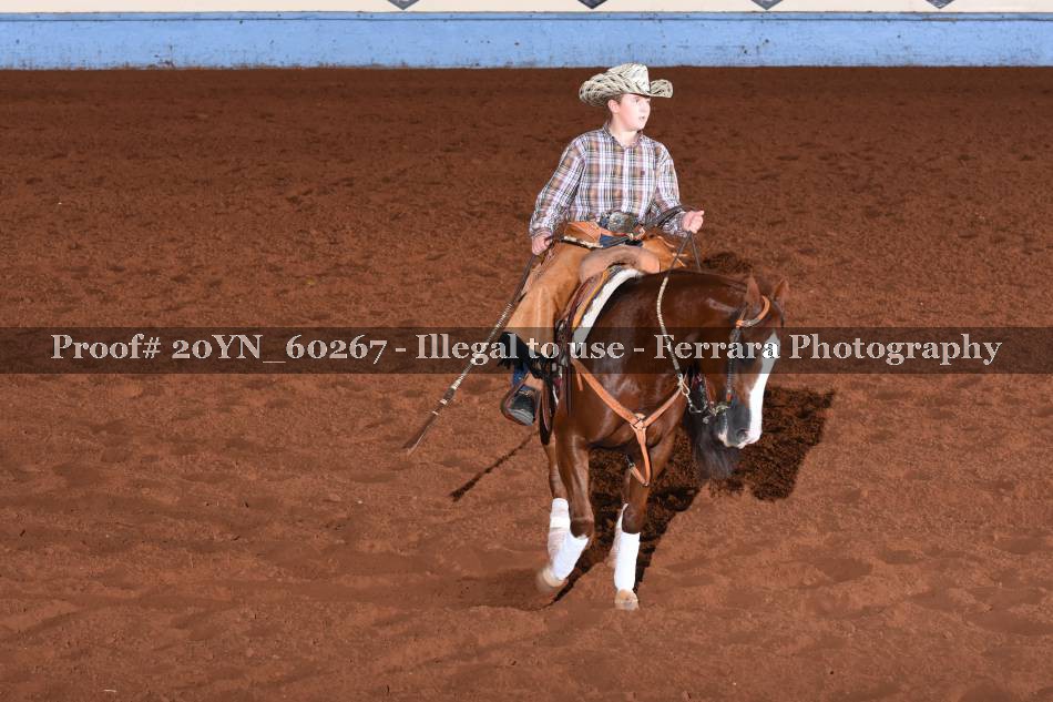 Proof 20YN_60267