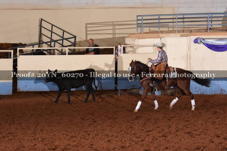 Proof 20YN_60270