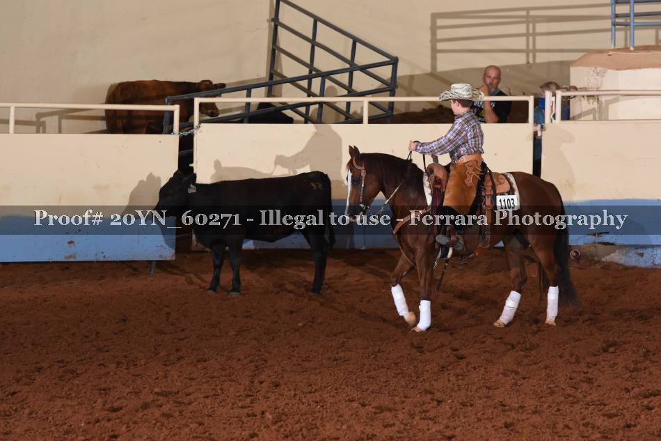 Proof 20YN_60271