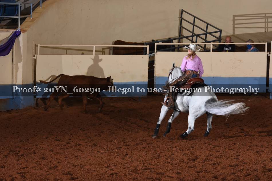 Proof 20YN_60290