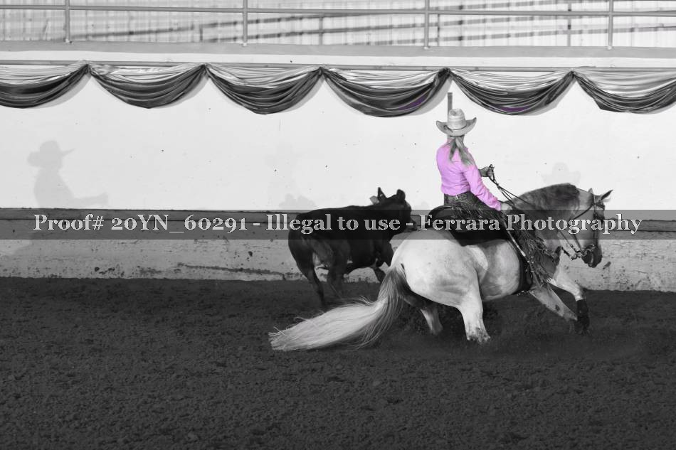 Proof 20YN_60291