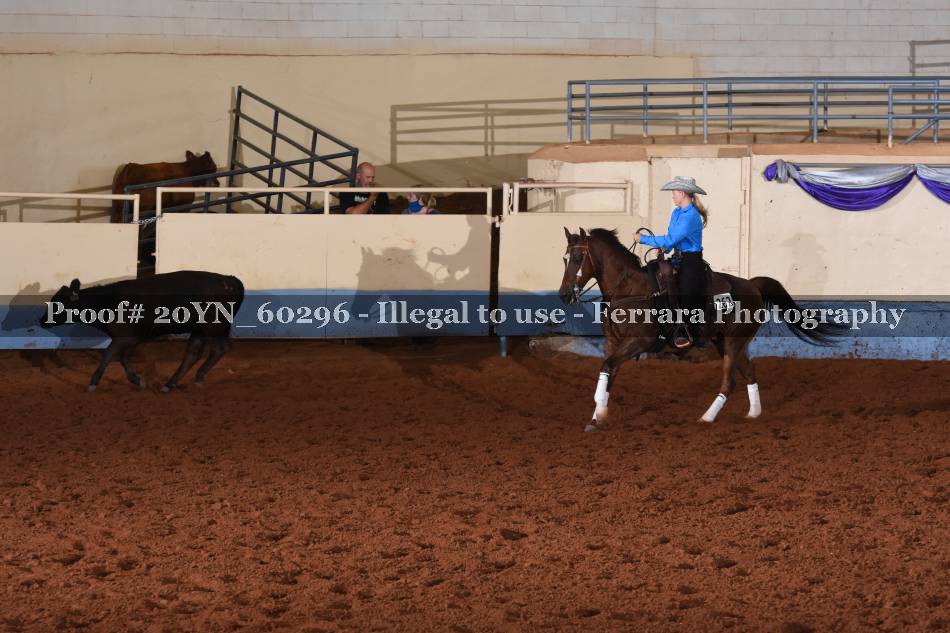 Proof 20YN_60296