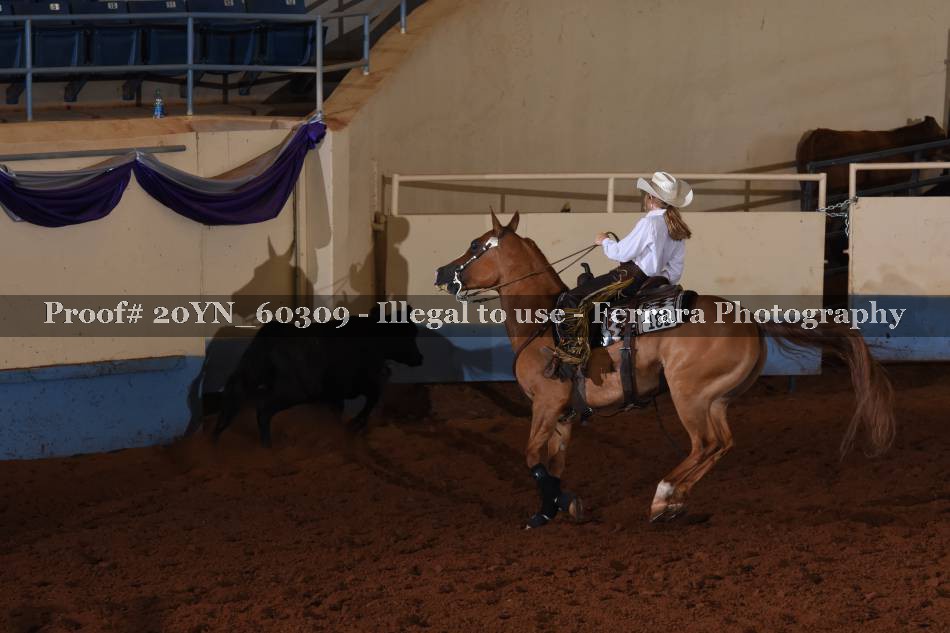 Proof 20YN_60309
