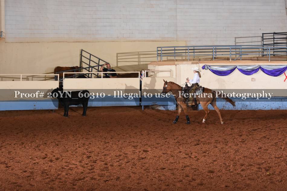 Proof 20YN_60310
