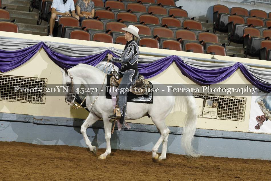 Proof 20YN_45271