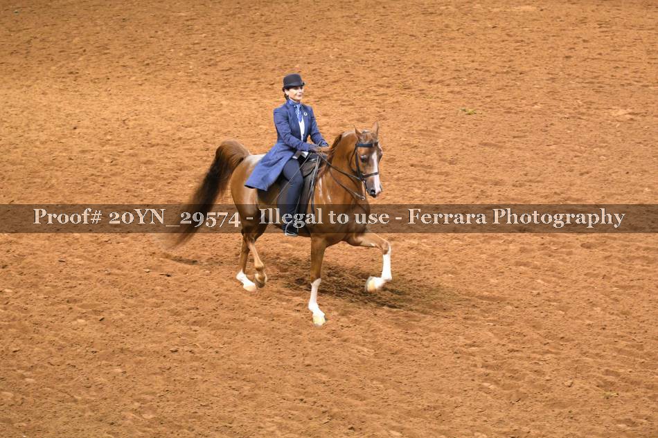 Proof 20YN_29574