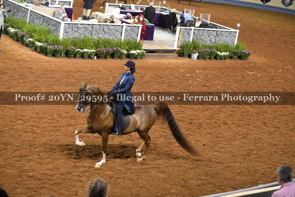 Proof 20YN_29595