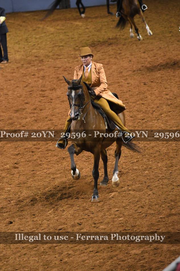 Proof 20YN_29596