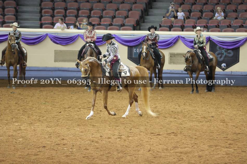 Proof 20YN_06395