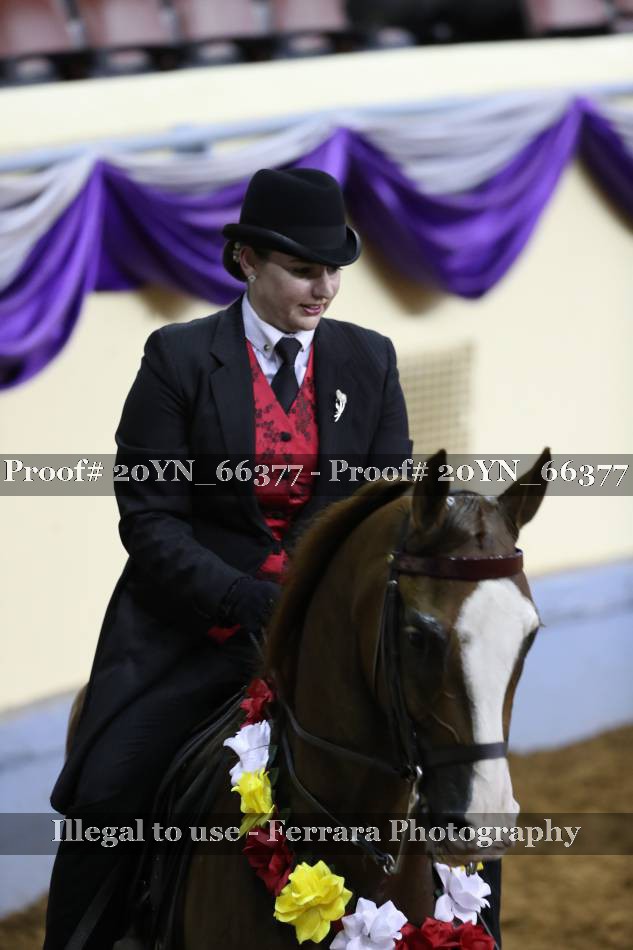 Proof 20YN_66377