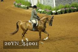 20YN_44001 proof