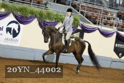 20YN_44002 proof
