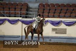 20YN_44096 proof