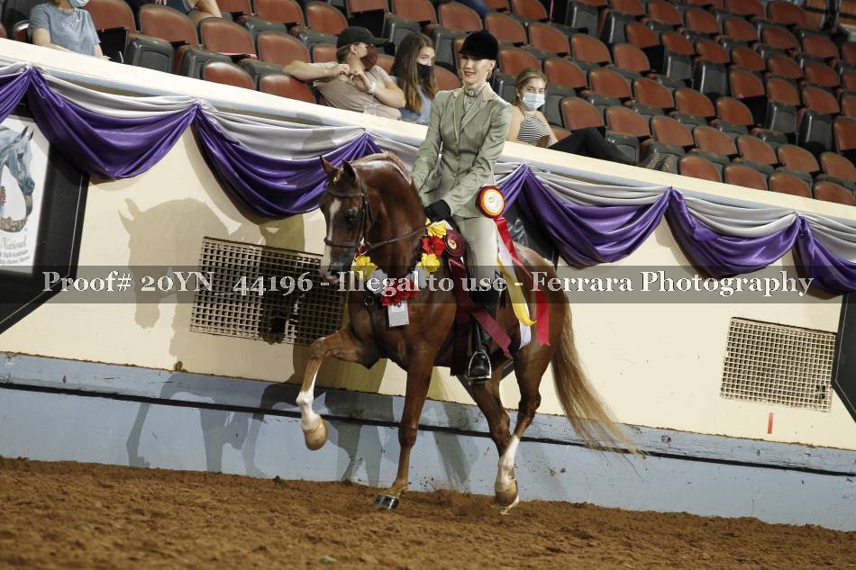 Proof 20YN_44196