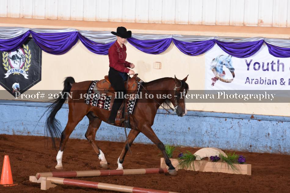 Proof 20YN_19095
