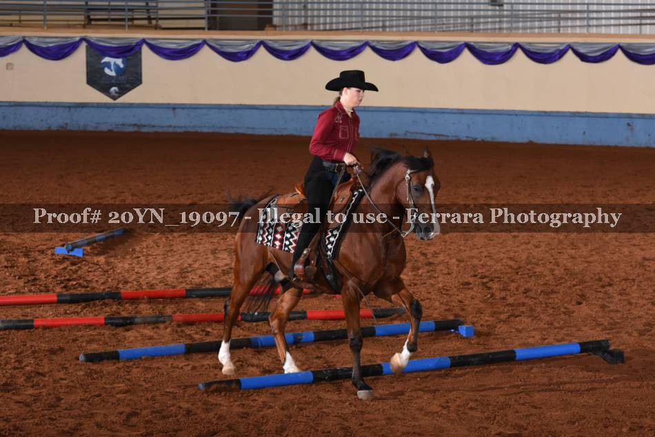 Proof 20YN_19097