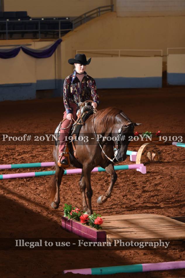Proof 20YN_19103