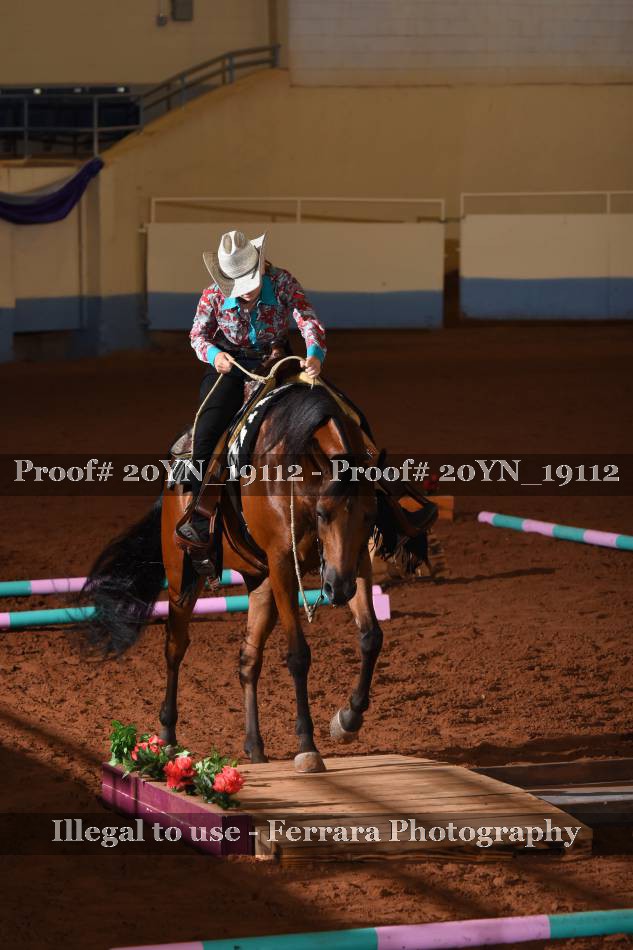 Proof 20YN_19112