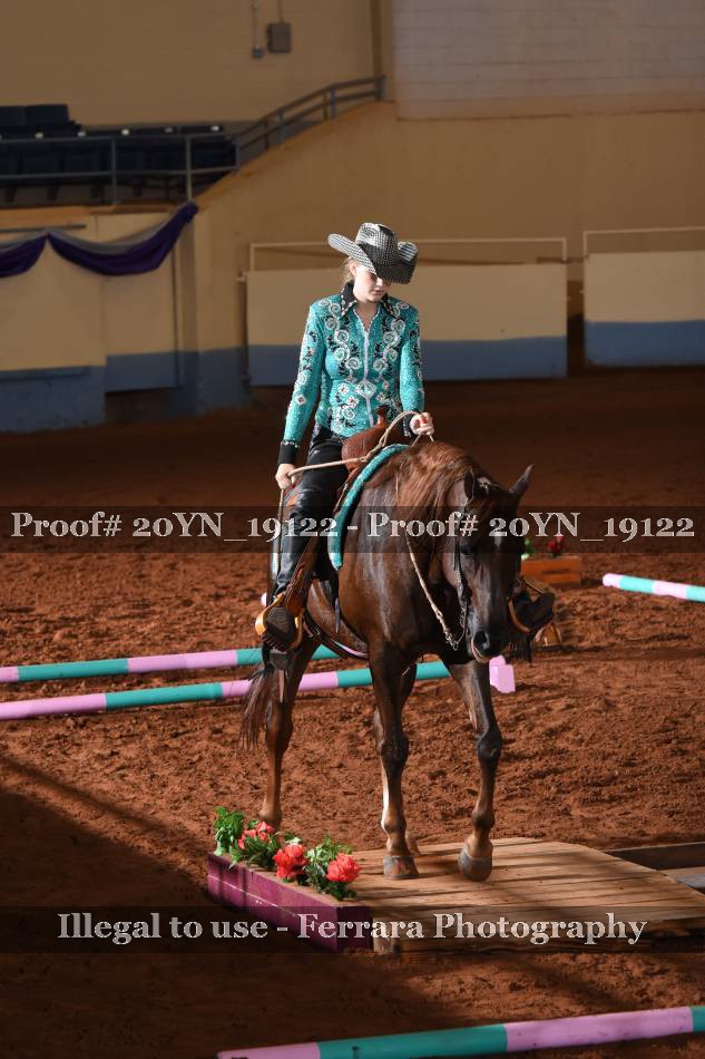 Proof 20YN_19122