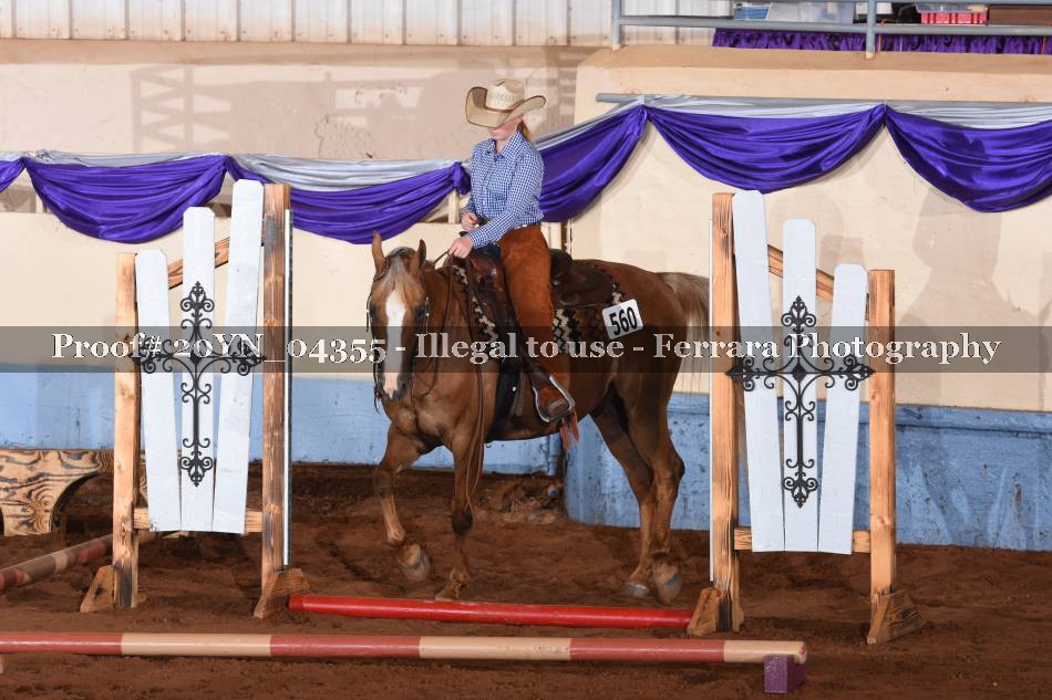 Proof 20YN_04355