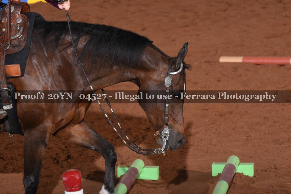 Proof 20YN_04527