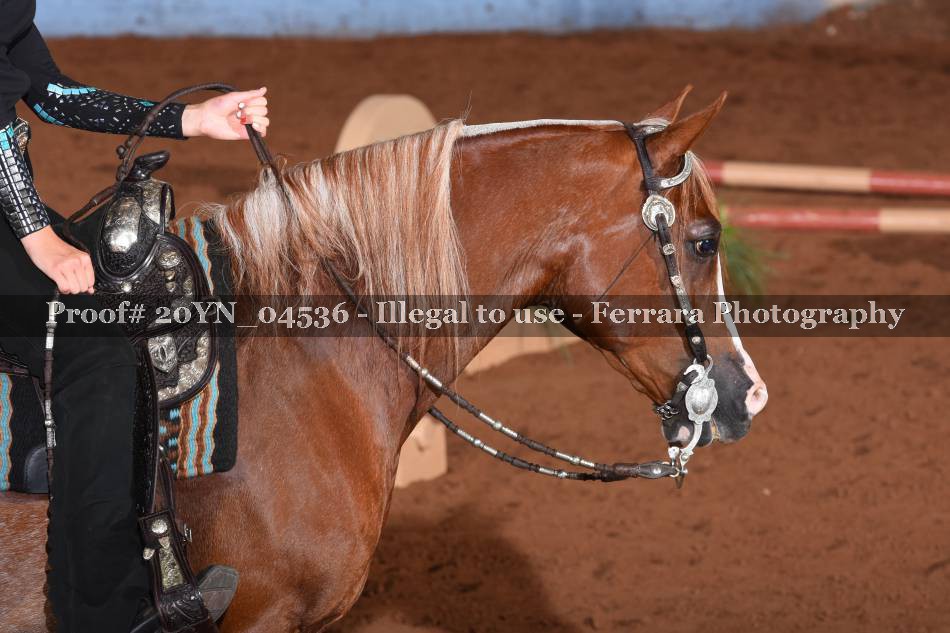 Proof 20YN_04536