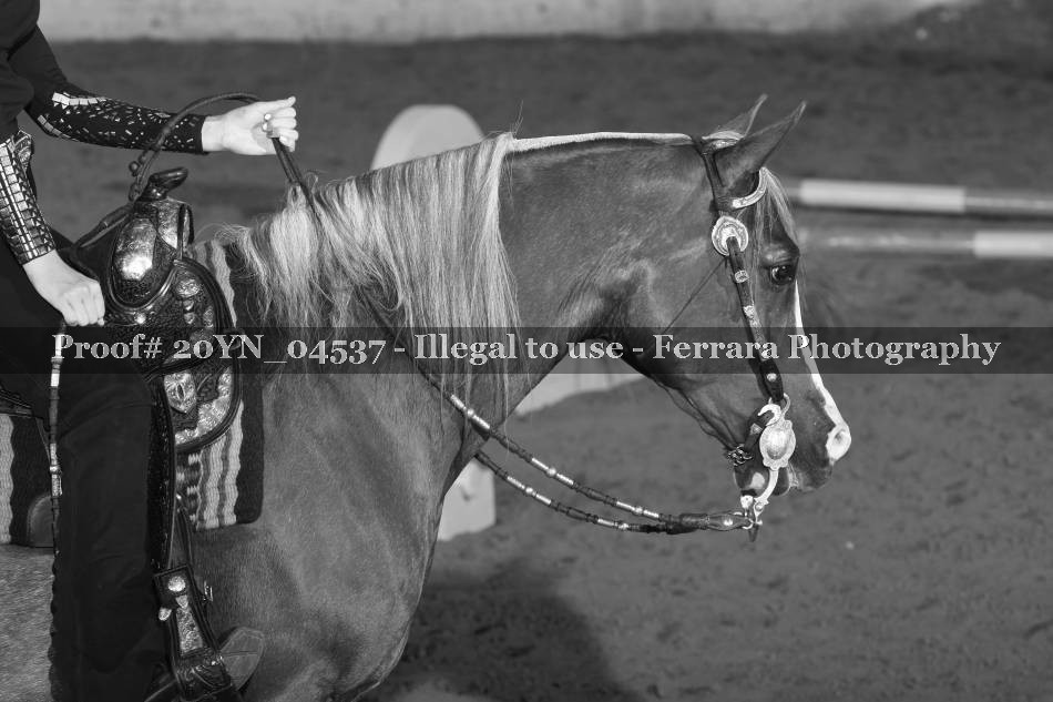 Proof 20YN_04537