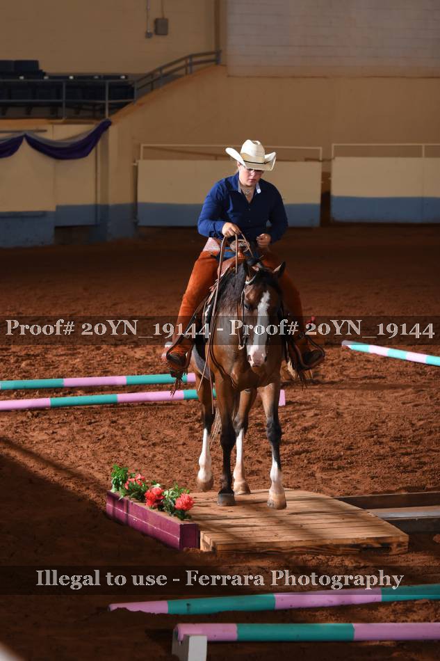 Proof 20YN_19144