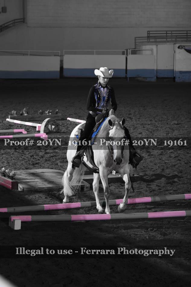 Proof 20YN_19161