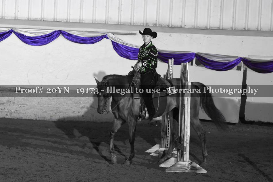 Proof 20YN_19173