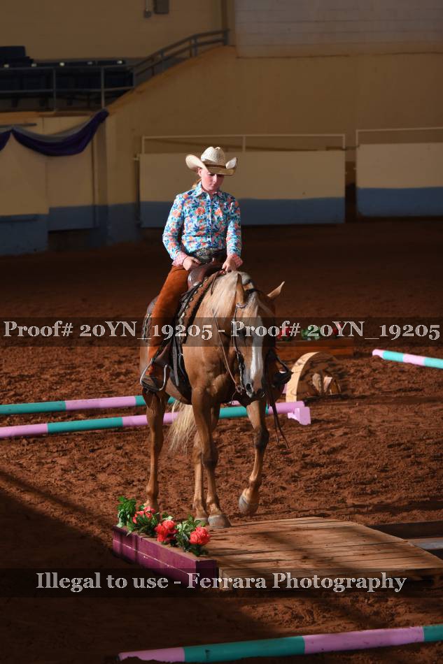 Proof 20YN_19205