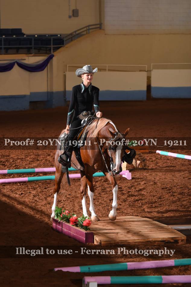 Proof 20YN_19211