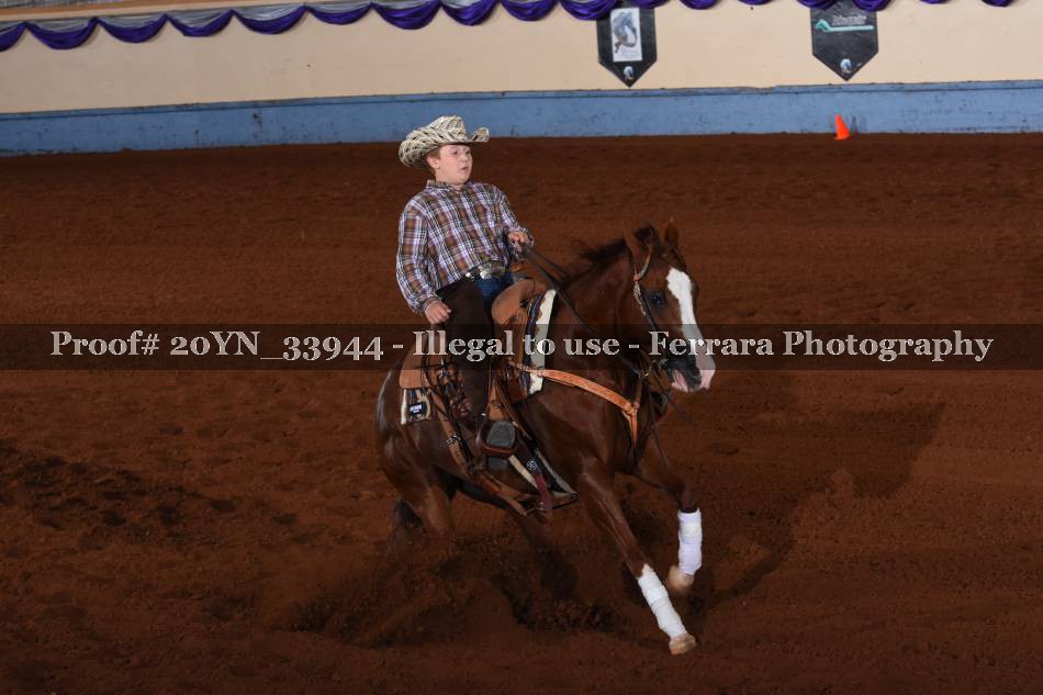 Proof 20YN_33944