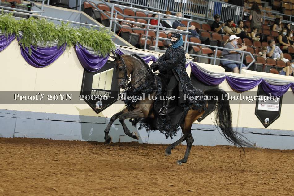 Proof 20YN_20096
