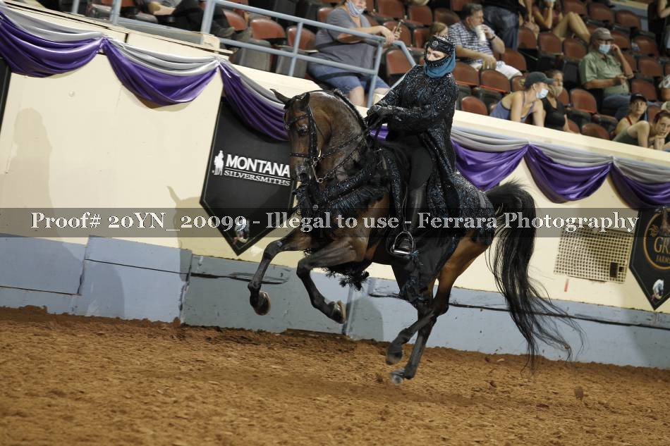 Proof 20YN_20099