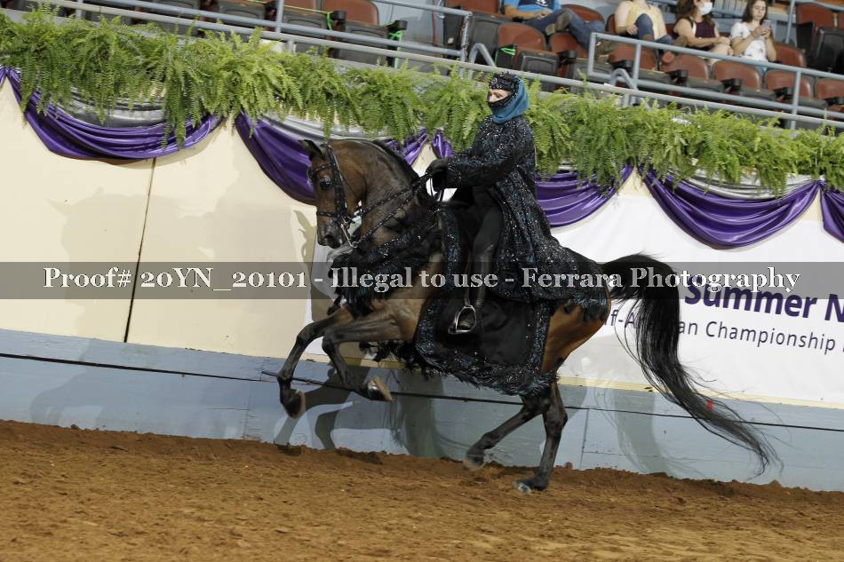 Proof 20YN_20101