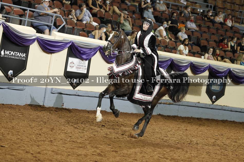 Proof 20YN_20102