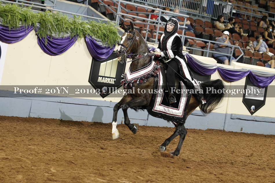 Proof 20YN_20103