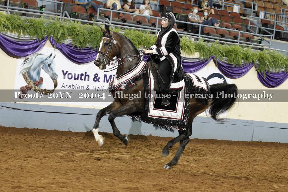 Proof 20YN_20104