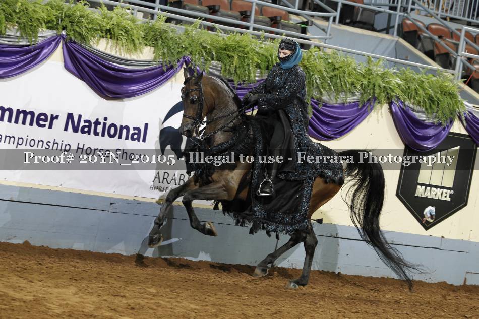 Proof 20YN_20105