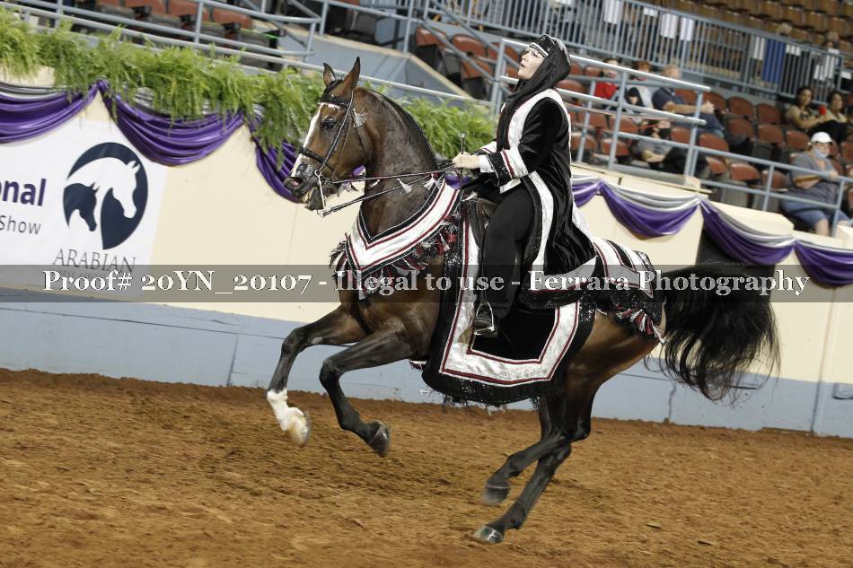 Proof 20YN_20107