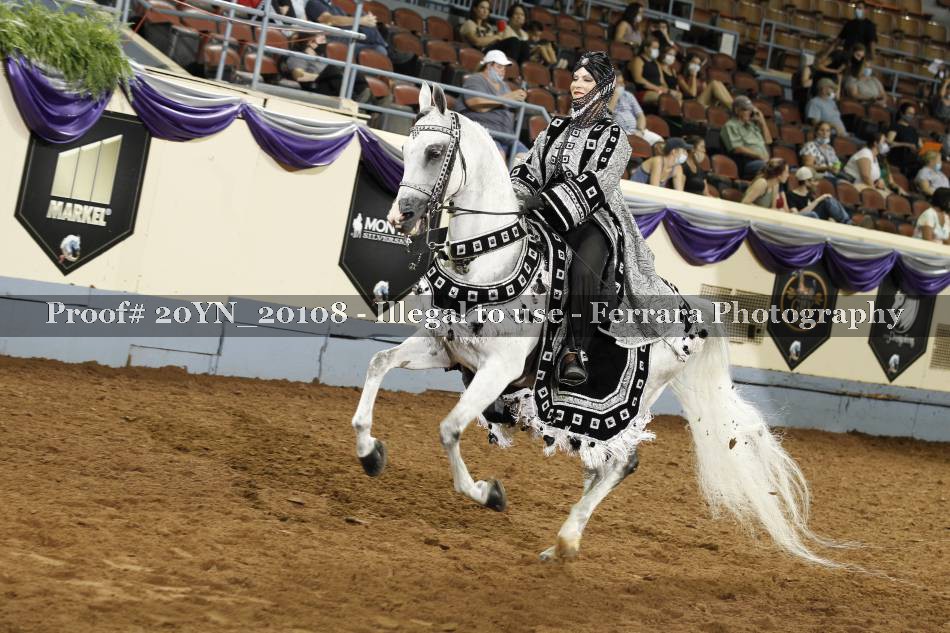 Proof 20YN_20108