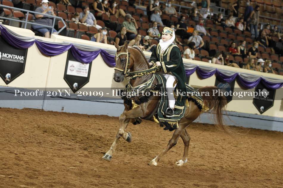 Proof 20YN_20109