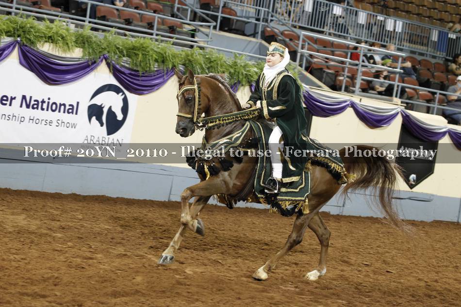 Proof 20YN_20110